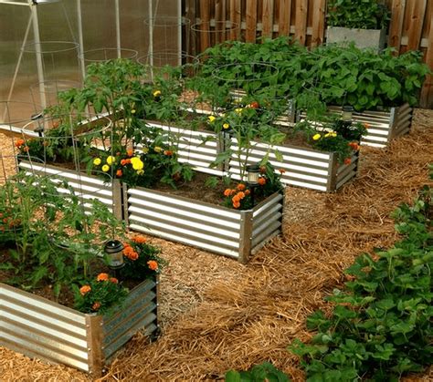 corrugate4d metal gardne box|corrugated metal raised bed cost.